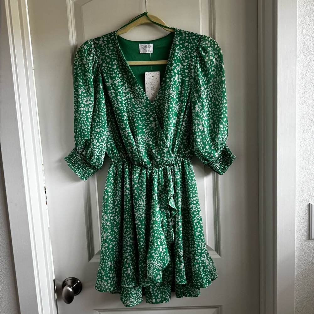Sienna Sky Green Patterned Dress